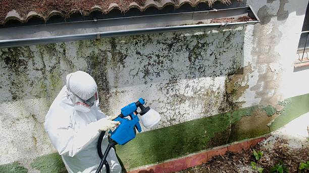 Top rated local Commercial Mold Remediation specialists in Julian, PA
